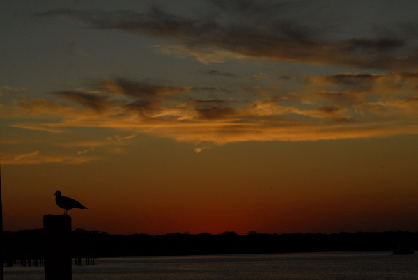 Sunset over the bay