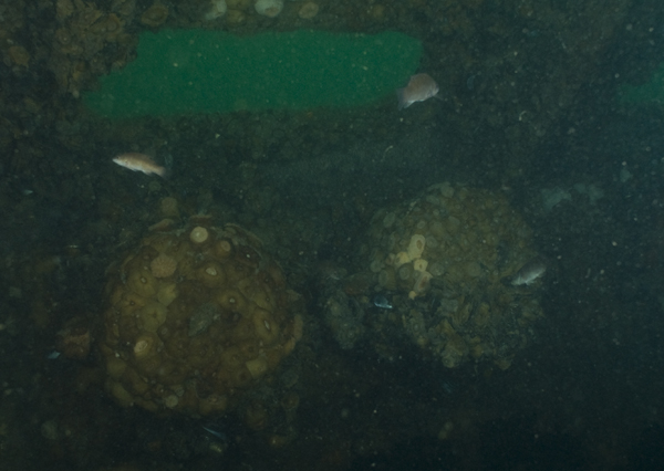 Mooring Bits Mooring Bits